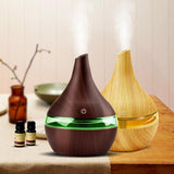 Aromatherapy Ultrasonic USB Air Humidifier | Cathy's Designs